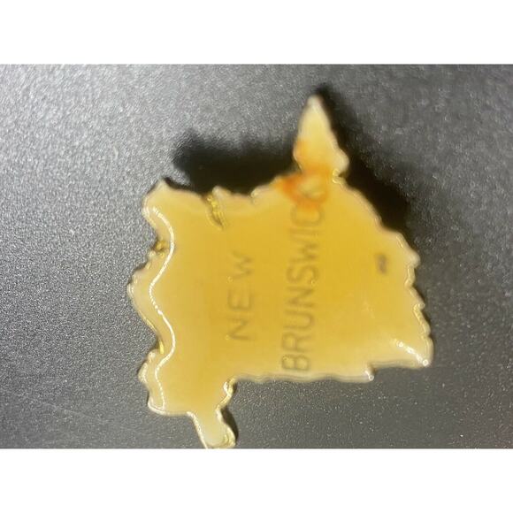 New Brunswick Canada Lapel Pin Vintage Canadian Province Souvenir - Picture 7 of 11